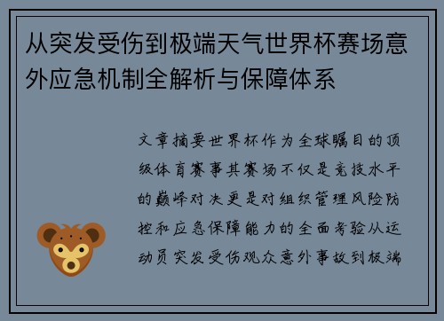 从突发受伤到极端天气世界杯赛场意外应急机制全解析与保障体系